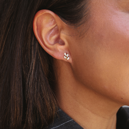 Pendientes NAMI