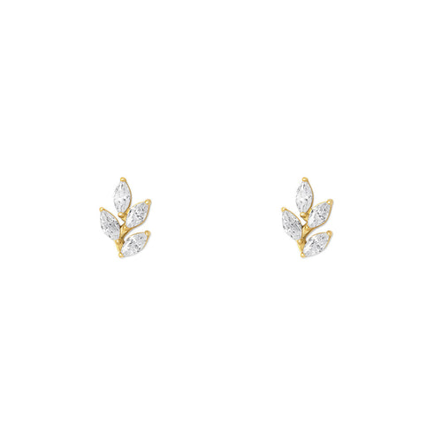Pendientes NAMI
