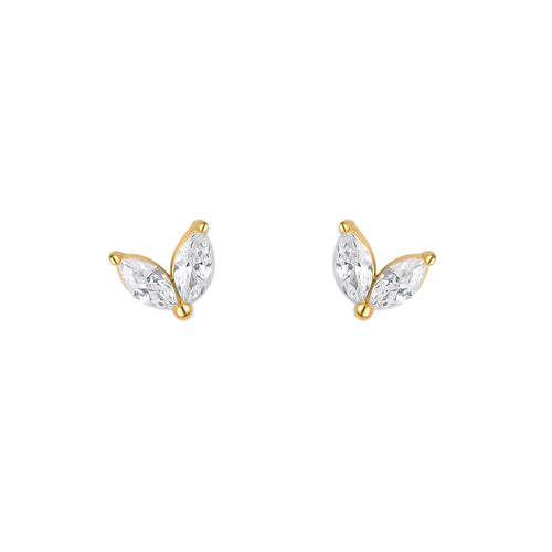 Pendientes VIVIS