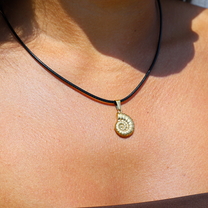 SOFIA. Collar